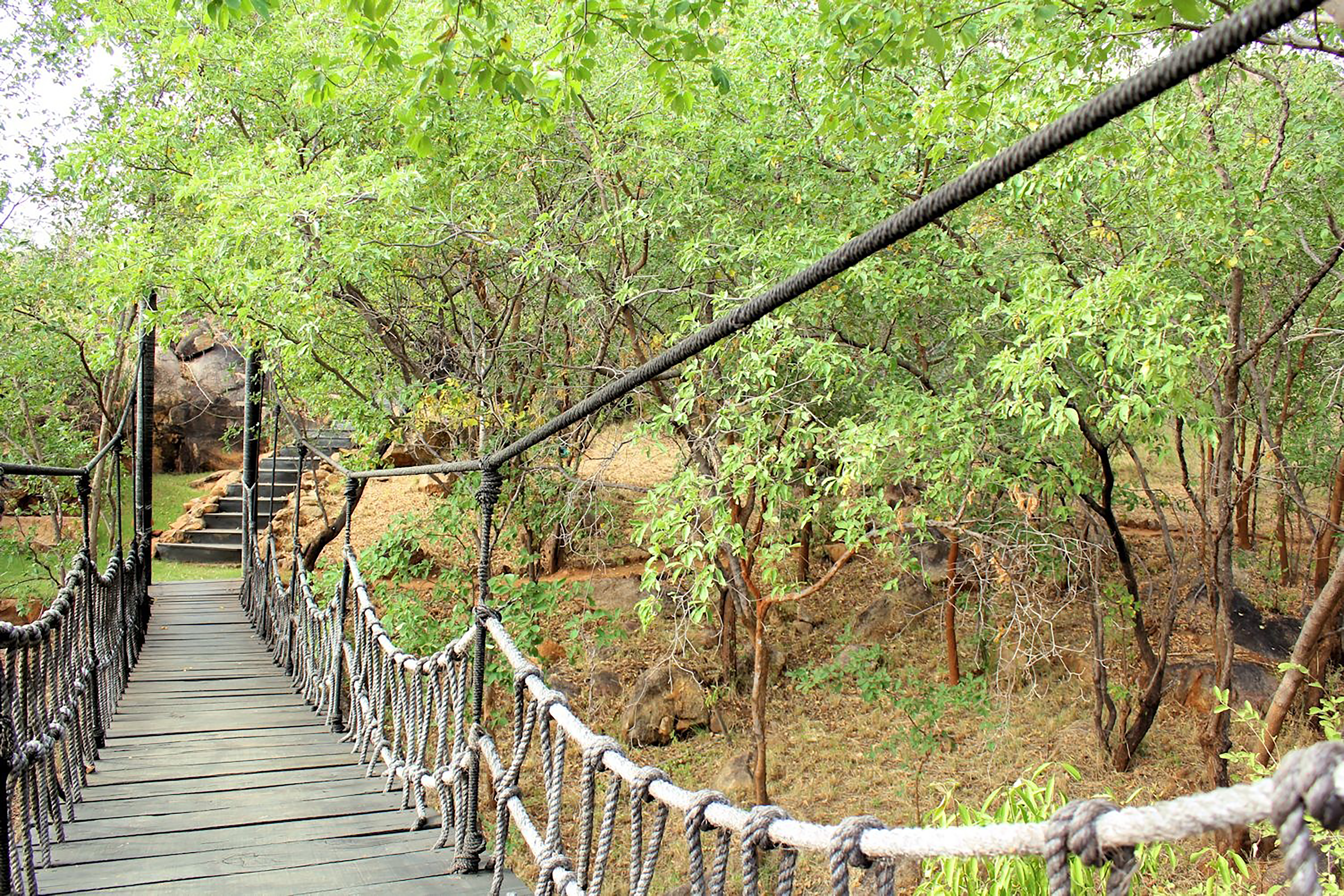 Elsa Kopje, Meru National Park — image 7 of 30